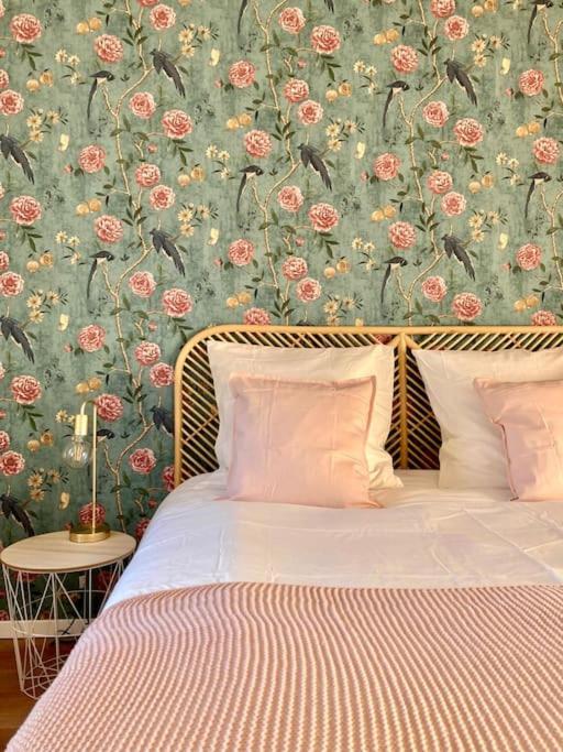 Le Carrousel - Appartement Cosy Centre אוברנאי מראה חיצוני תמונה