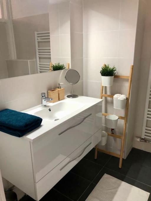 Le Carrousel - Appartement Cosy Centre אוברנאי מראה חיצוני תמונה